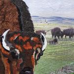 Marcia Shipman - Where the Buffalo Roam (detail)